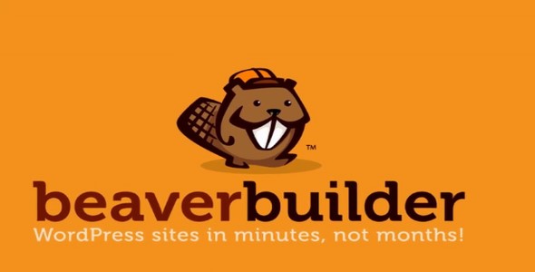 Beaver Builder Pro WordPress Sayfa Oluşturucu Eklentisi v2 10