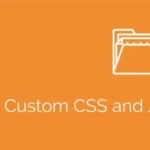 Simple Custom CSS and JS PRO v4.41