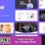 Oshine – Çok Amaçlı WordPress Teması v7.2.6