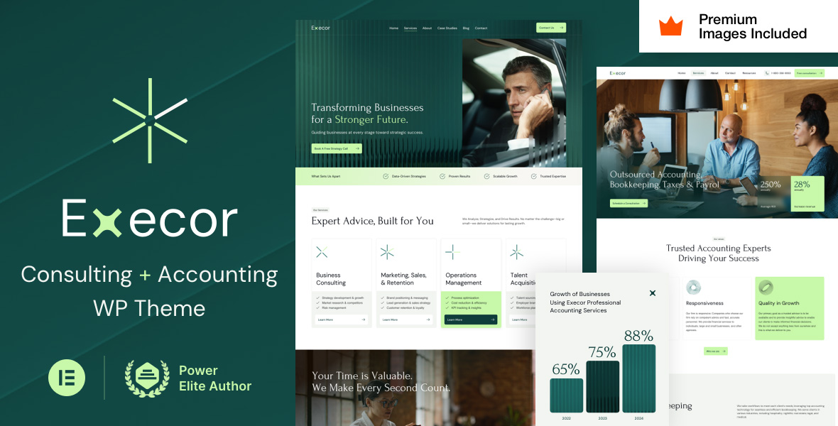 Execor Accounting and Management Consulting WordPress Teması v15