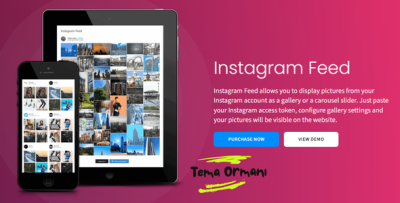 Instagram Feed Pro v4 4 4