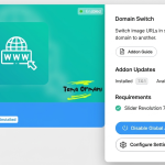Slider Revolution Domain Switch Addon v7.0.1
